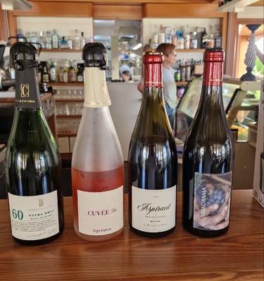 Metodo classico e vino rosso Casa Caterina e Del Bono Franciacorta biodinamico per carta vini