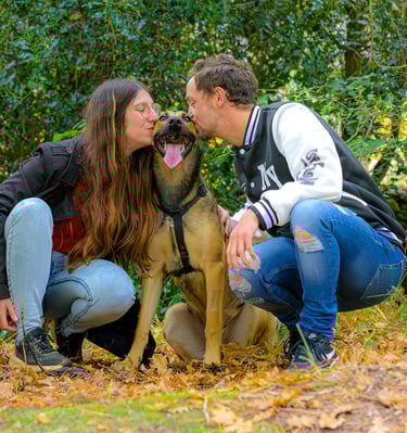 moment de partage entre un chien et ses maitres