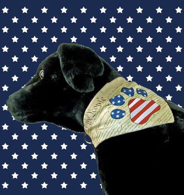 Dog wearing a bandana printed with the preamble to the U S Constitution and a flag themed paw print.