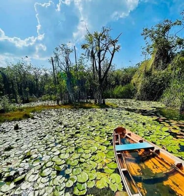 a boat on a lake with lily pads and lily pads, Alter do Chão, Pará, Brazi