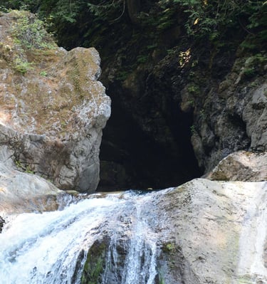 a waterfall in a cave in a forest