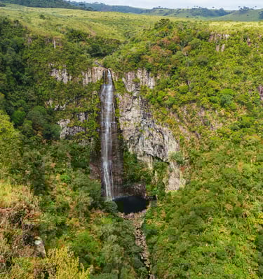 a waterfall in the middle of a lush green forest