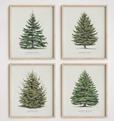 set of 4 pine tree wall art pictures in frames