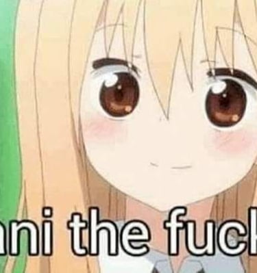 Anime girl captioned Nani the Fuck?
