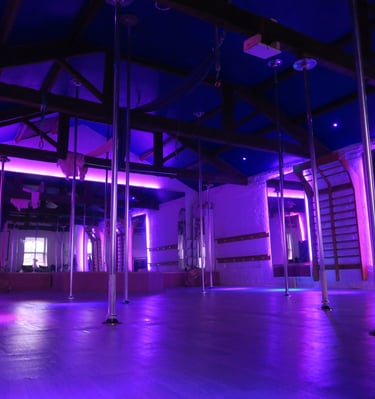 Sxefit studio with 12 spinning poles and full mirrors