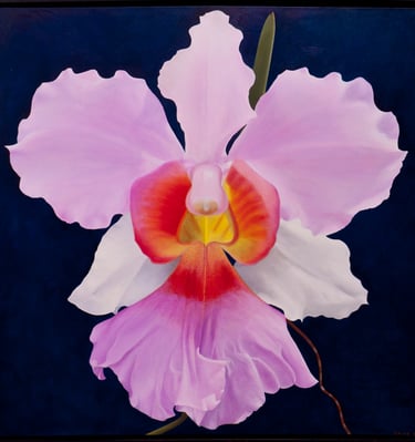 Pink White and Orange Cattleya