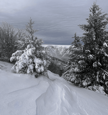 decors enneigé ambiance hivernale sommets vosgiens
