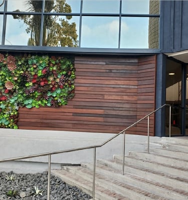 a building with a wall of plants on the side of it