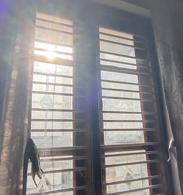 Wide shot of a spacious balcony secured with a sturdy mosquito net, sunlight filtering through the m