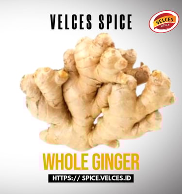 WHOLE GINGER VELCES