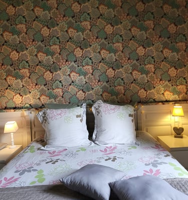 Hebergement a Chinon chateaux de la Loire, Loire Valley