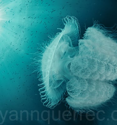 Kho lanta - THAÏLANDE