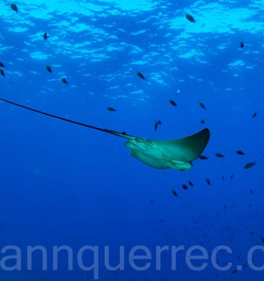 L'Estartit - ESPAGNE