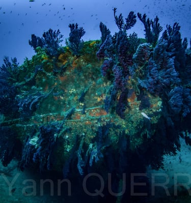 L'Arroyo - La Seyne sur Mer - FRANCE
