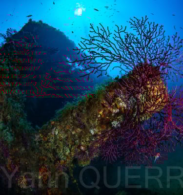 Le Chaouen - Marseille - FRANCE