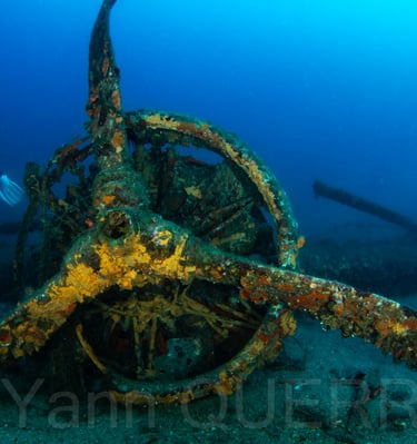 Le Dornier - Toulon - FRANCE