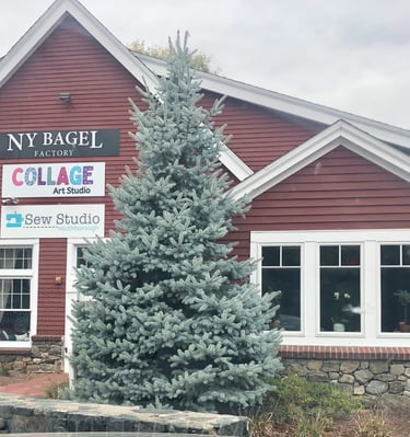 205 Turnpike Road in Southborough building location. Entrance located under signs.