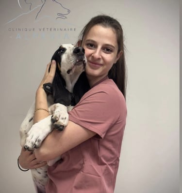 Assistante vétérinaire clinique vétérinaire alpesia à Varces