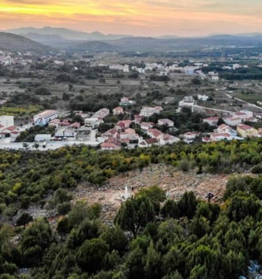 a view of a village in the countryside