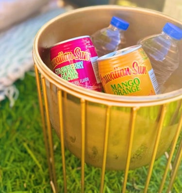 luxury beach picnic in honolulu, hawaii