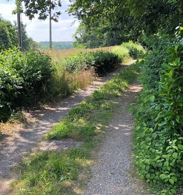 Ferme de Belon : entrée ferme de belon