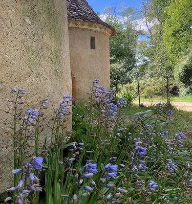 Ferme de Belon : Ferme de CBD nos deuxtour