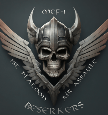 Marine Division 1st Platoon MEF-1