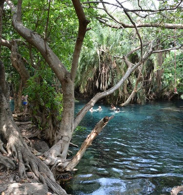 Chemka Hot Springs – kristallklares Wasser & entspannter Tagesausflug.