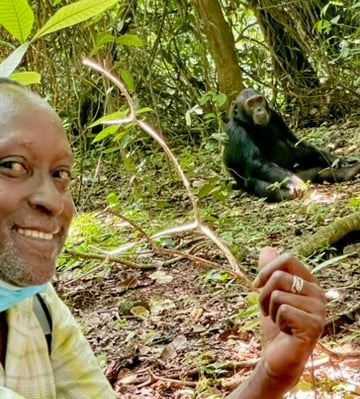 Gombe NP – Schimpansen hautnah in ihrem natürlichen Lebensraum erleben.