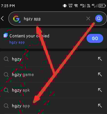 hgzy game app