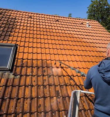dachreinigung-bad-kreuznach-Einfamilienhaus.jpg