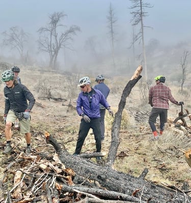 a group of people standing around a pile of logs