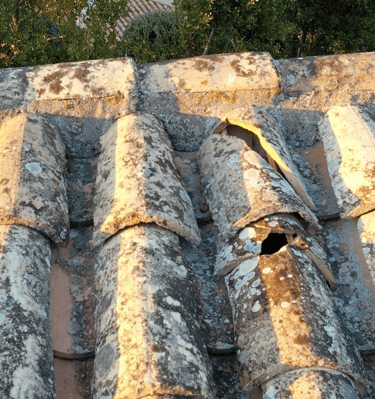 Tuiles de toitures fissurées