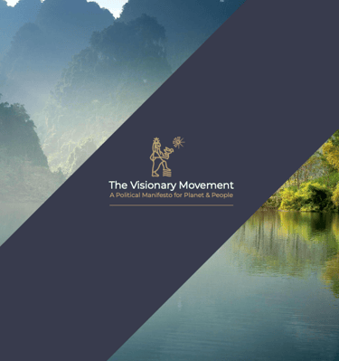 the visionary movement manifesto - front cover