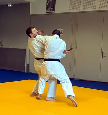 Technique adulte karaté Taï-Jitsu