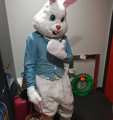mascot services, costume 