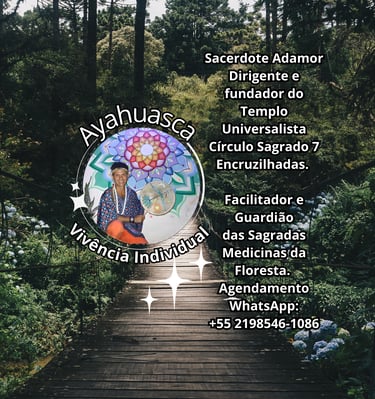Vivência Individual com Ayahuasca