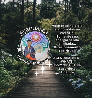 Vivência Individual com Ayahuasca