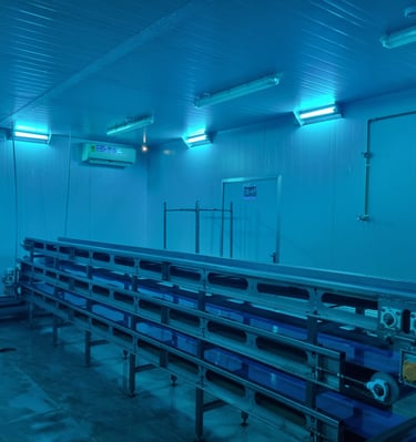 Medical Grade UV sterilisation