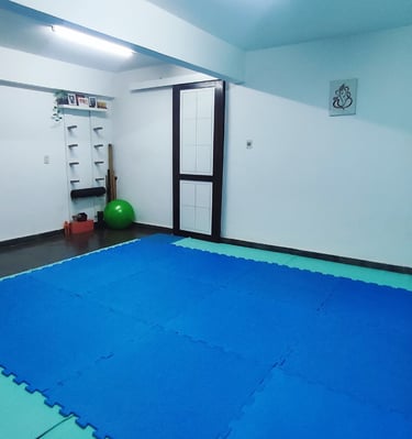 Dojo
