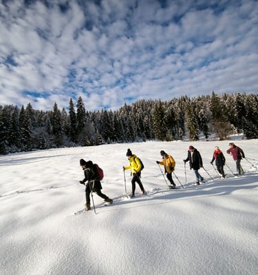 schneeschuhwanderung durch der Wald in Leutasch