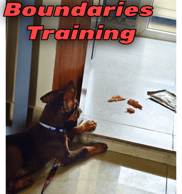 Boundaries dog training in gurgaon at gurgaondogtraining.in
