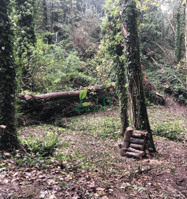 land_culture_project_waterworks_valley
