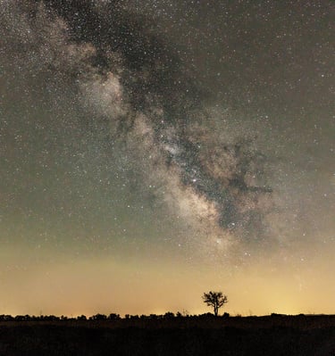 Breathtaking night sky landscape featuring the Milky Way galaxy over a silhouetted tree and horizon.
