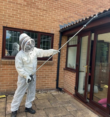 professional exterminator treating wasps under tiles using a pole