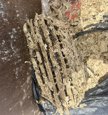 wasps nest tier structure close up
