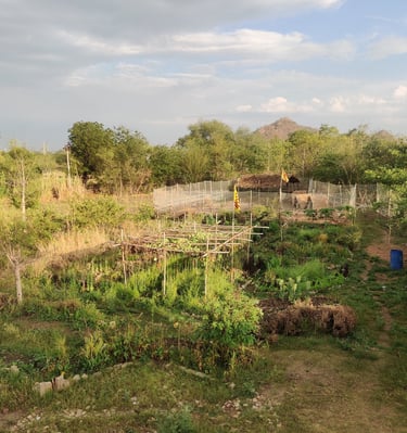 Permaculture farm design | Udaipur, Rajasthan, India