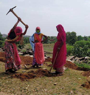 Watershed management and community project in Udaipur by Bhuvnesh and Pukaar