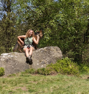 a dog walker in harrogate with a German shepherd dog on a walk in harrogate.