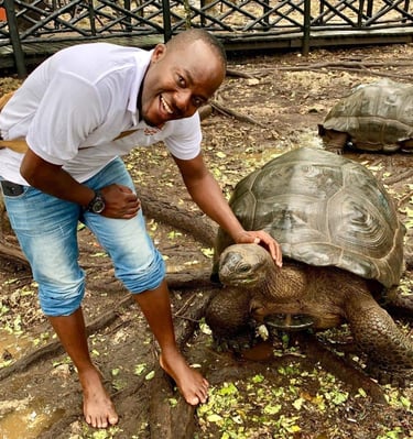 Prison island giant tortoise
